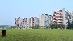 Blk 560A Spring Haven @ Jurong (Jurong West), HDB 2 Rooms #629544781